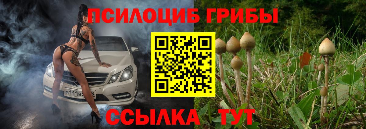 Псилоцибиновые грибы мицелий Вязники